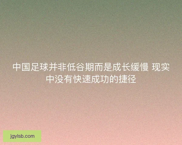 中国足球并非低谷期而是成长缓慢 现实中没有快速成功的捷径